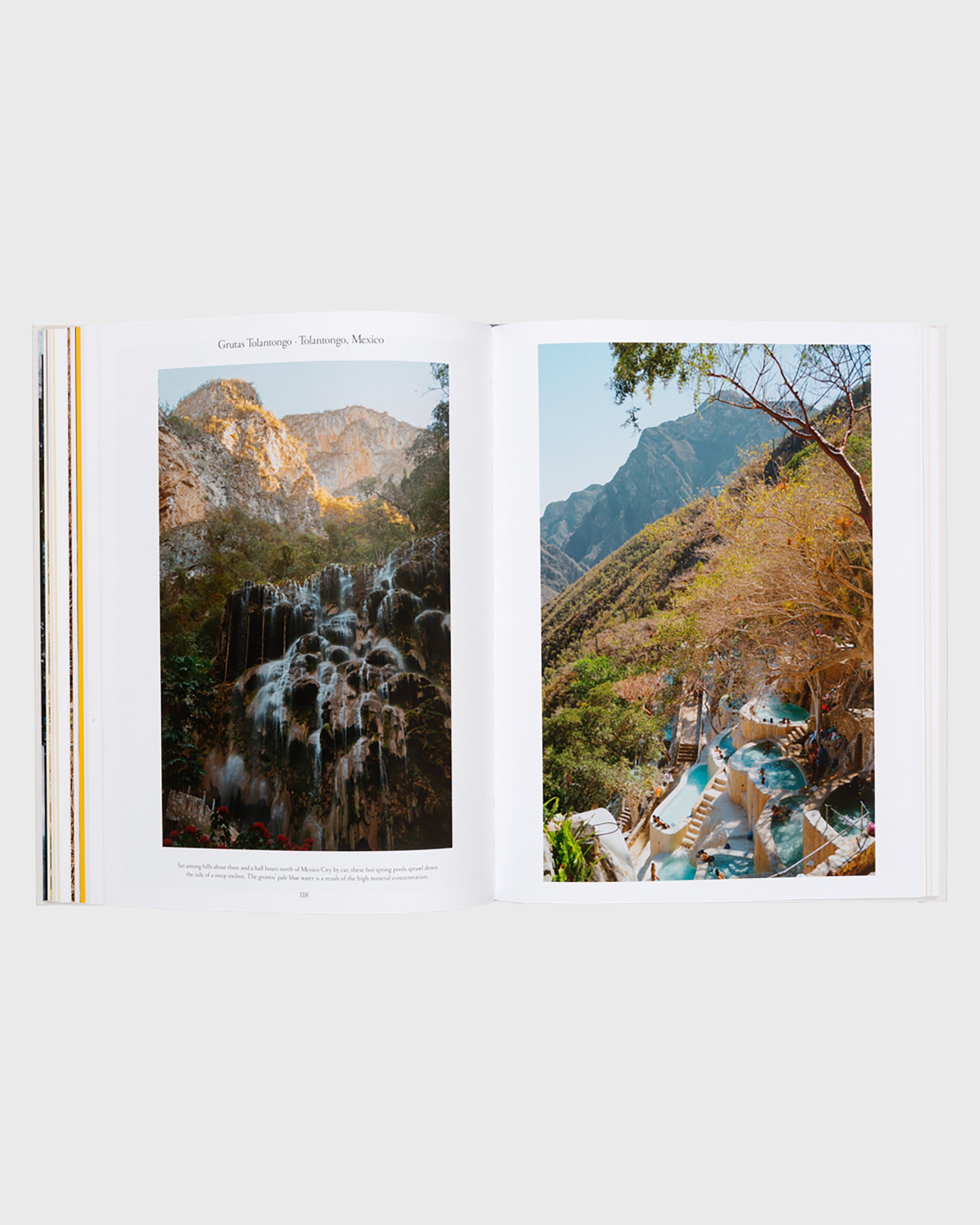 The Nature of Swimming - Flatlay